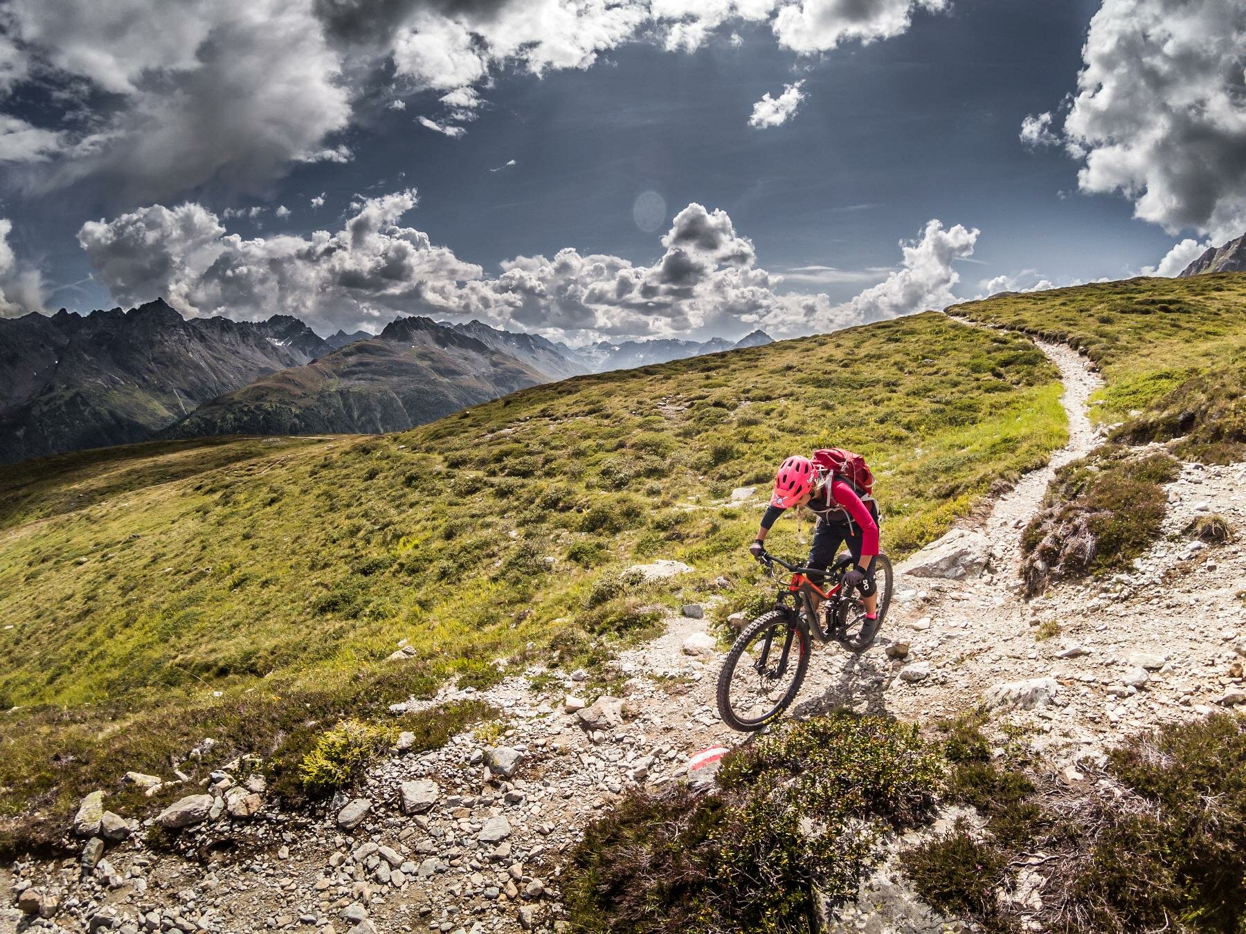 E-MTB Fully